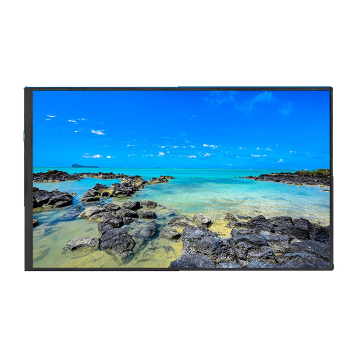 12.3寸车载液晶屏